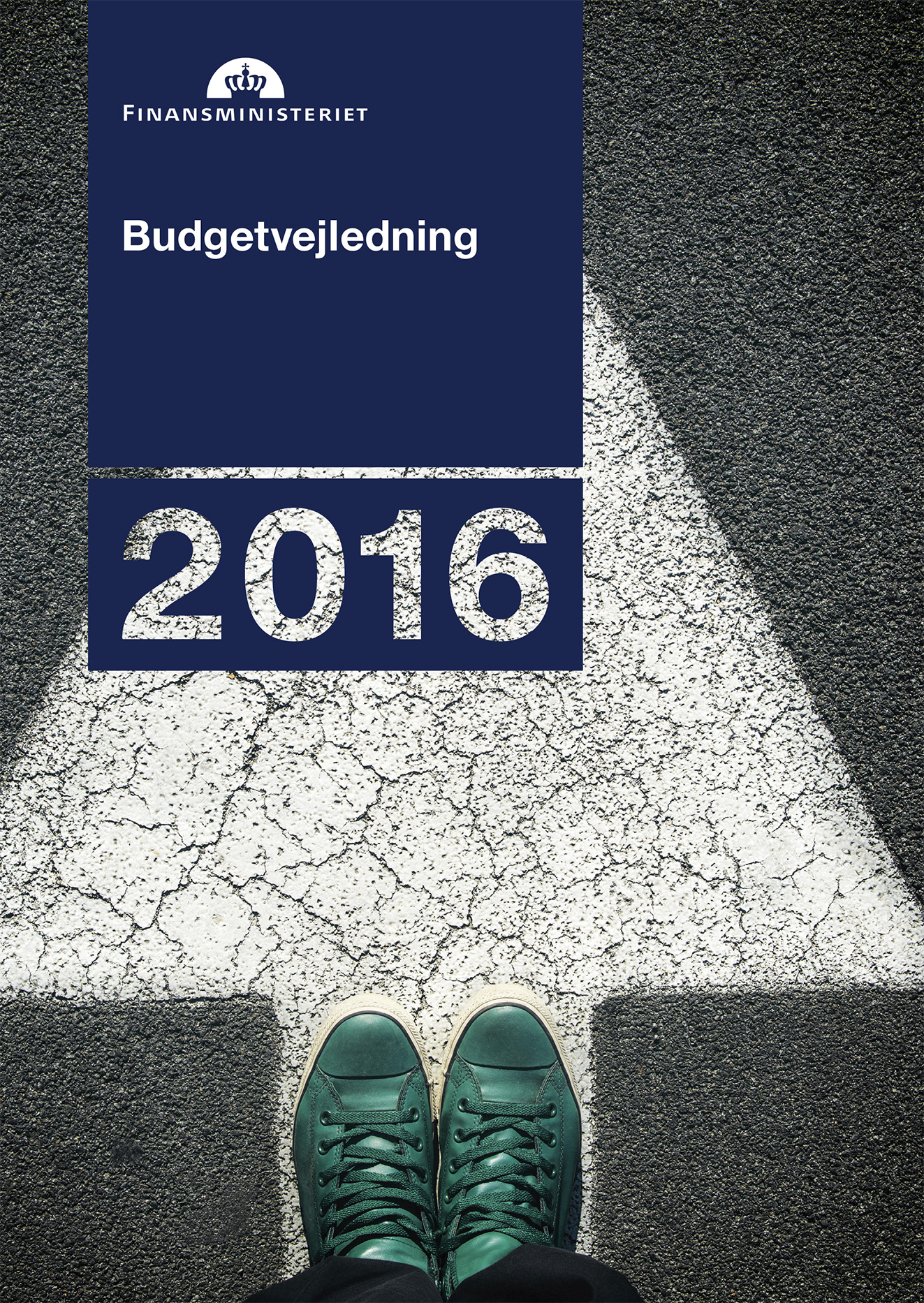 Budgetvejledning 2016