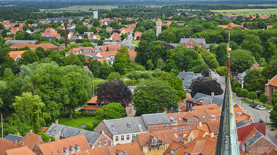 Ribe overview